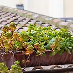 Bed & Breakfast & Breakfast Canalino 21 Modena