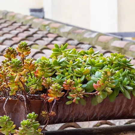 Bed & Breakfast & Breakfast Canalino 21 Modena