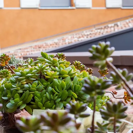 & Breakfast Canalino 21 Bed & Breakfast Modena