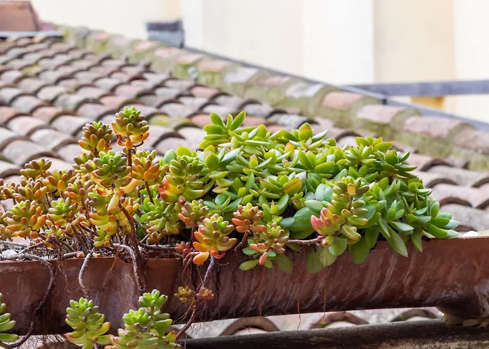 Bed & Breakfast Room&breakfast Canalino 21 Modena