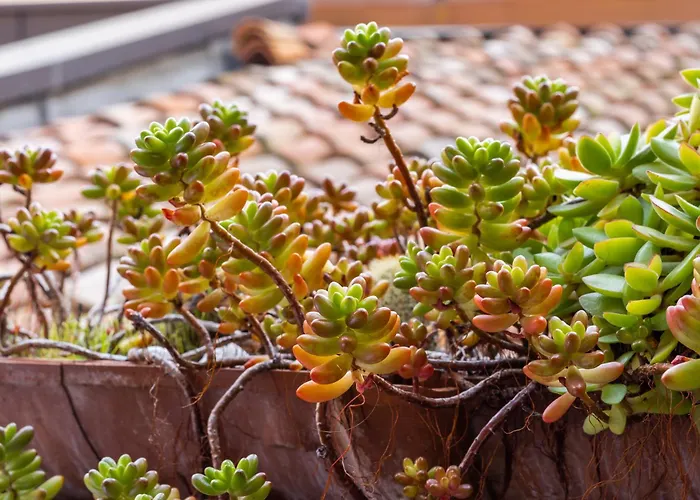 Room&breakfast Canalino 21 *